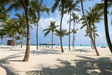 Reasons to Choose RD Assistance for Your Villa Rental